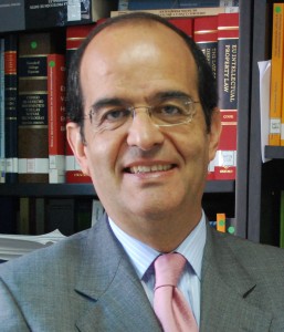 José Luis Piñar web 2011